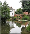 Village pond, North Stainley