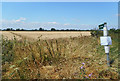 SU2499 : Footpath through the wheat by Des Blenkinsopp