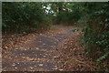 View down the steps in Hilly Fields Park