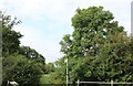 Path by the River Arun, Billingshurst