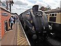 ST1628 : A4 'Union of South Africa' arrives at Bishops Lydeard by Roger Cornfoot