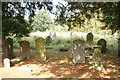 View of gravestones in Ladywell & Brockley Cemetery