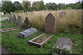 View of gravestones in Ladywell & Brockley Cemetery #6