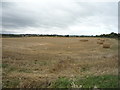 Recently harvested field off Leam Lane, Gateshead