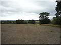 Field off Leam Lane, Gateshead