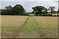 Bridleway on Carlton Common