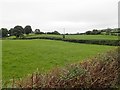 Access road to farms and houses from McShane