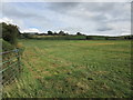 Grass field and Fairhead Farm