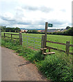 Cullompton: stile in Ponsford Lane