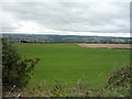 Grassland off Rockcliffe Way, Eighton Banks