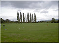 Croquet at Wrington