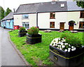 Caerleon in Bloom flower tubs, High Street, Caerleon