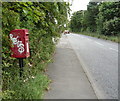 Elizabeth II postbox on Station Road, Penshaw