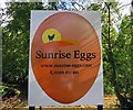 Signs at Sunrise Eggs 001