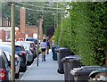 Dustbins on Kitchener Road