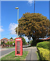 Phone Box, Bereweeke Avenue