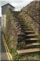 Steps, South Street, Totnes