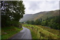 The lane in Grisedale.