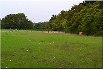 TQ4963 : Field opposite the Bo-peep public house by David Martin