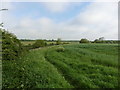 The Thames Path National Trail near Lower Part Farm