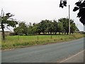 Small orchard, Norton-le-Clay