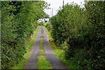 H3965 : Glennan Road, Glennan by Kenneth  Allen