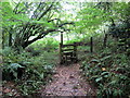 Llwybr Ffarm Llangynog / Llangynog Farm Footpath