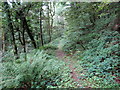 Llwybr Ffarm Trehyrne / Trehyrne Farm Path