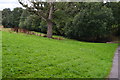 Valley and path in Brooklands Park