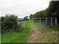 Llwybr Ardderfin / Ardderfin Path