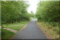 Path alongside the Ribble Link