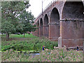 Railway Viaduct over the River Can, Chelmsford