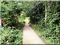 Trans Pennine Trail near Elsecar