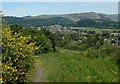 Path on Gowan Hill