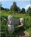 Wooden sculpture: Cruachan