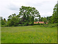 Grassland, Abbotswood Paddock