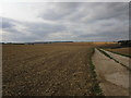 Bridleway and Kirby Wold