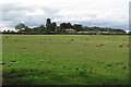 Warren Farm with Pesthouse woods behind