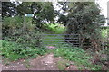 Bridleway towards Rainsborough camp