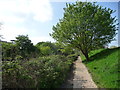 Footpath beside stream Havant