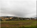 Farmland on the northern bank of the Tay at Tofthill