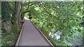 Board walk beside River Blackwater, Feering, Essex