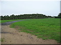 New unmapped farm track on the western edge of Cundall