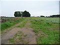 Farm track, heading south-east to a nameless wood