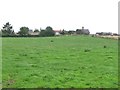 Houses in Cundall