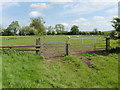 The Thames Path National Trail near Tawney