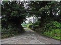 Driveway, Whitwell Farm