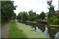 Duckweed covered canal