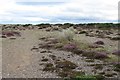 Stony ground, Findhorn