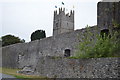 S2034 : Church of The Holy Trinity and town walls, Fethard by N Chadwick